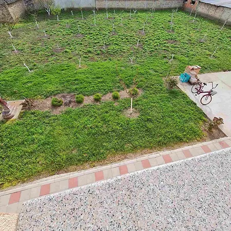 Dalmacija *